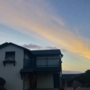 Meet your Posher, Trin